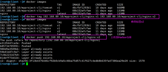 Docker Harbor私有仓库部署与管理_服务器_29