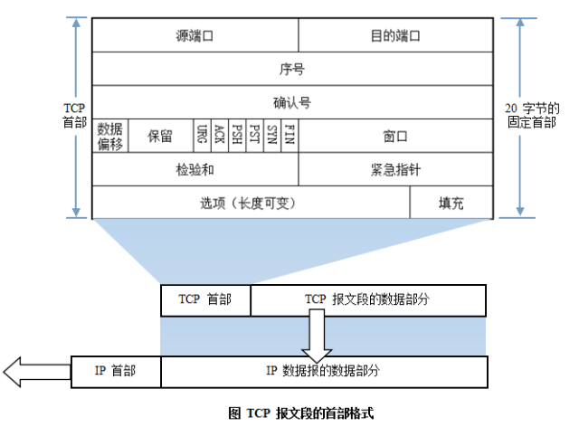 计算机网络基础知识总结_ARP_04