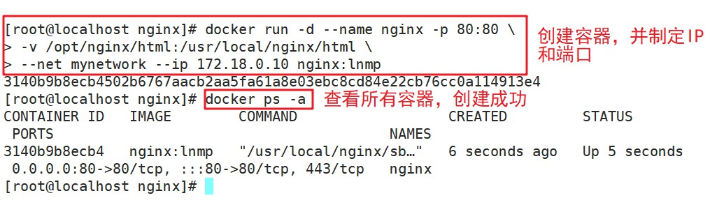 Dockerfile镜像搭建LNMP_docker_10