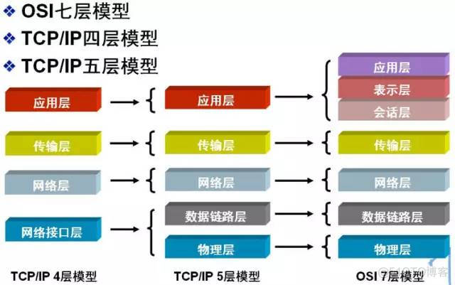 拍了拍你，这些网络基础知识，我不允许你不会_amp_02