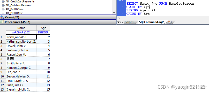 第五十章 SQL命令 HAVING（一）_sql_09