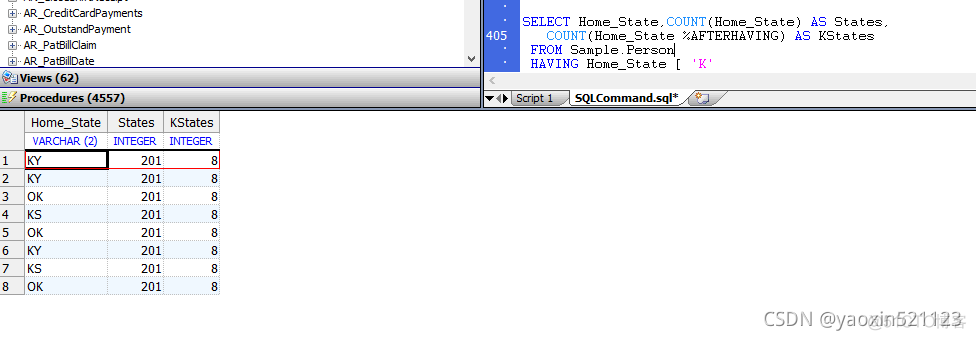 第五十一章 SQL命令 HAVING（二）_字段_07