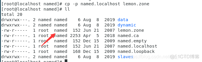 Centos DNS服务器搭建_数据文件_11