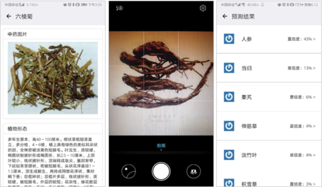 中药图片拍照识别系统全套开源