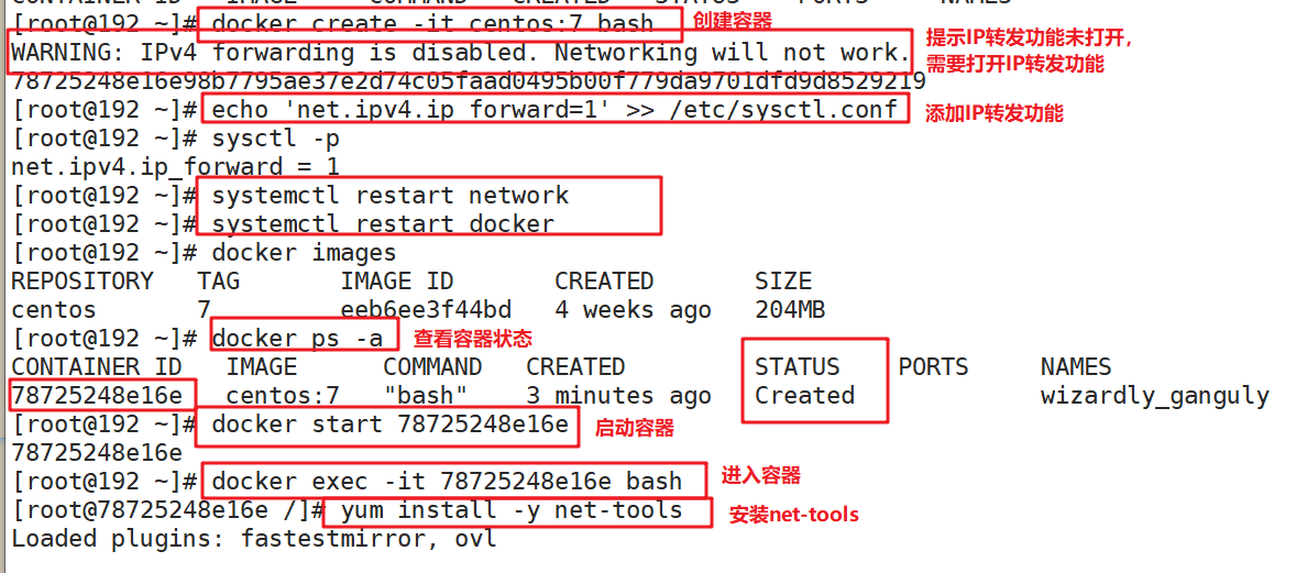 Docker的数据管理_数据_07