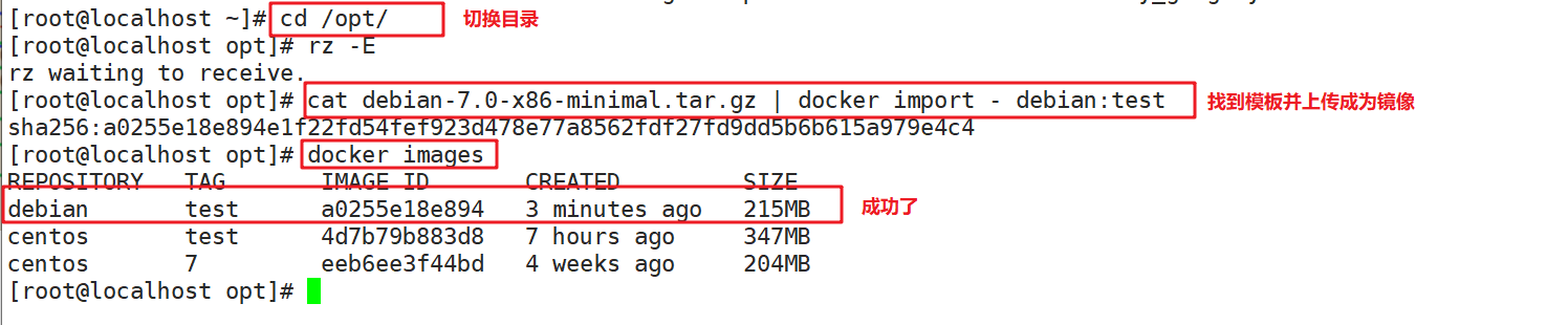 Docker的数据管理_目标路径_11