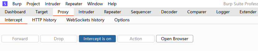 Burpsuite2021系列教程(一)----Proxy模块的使用_burpsuite_02