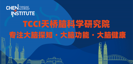 根据大脑活动来重建大脑所感知的图像_编程语言_08