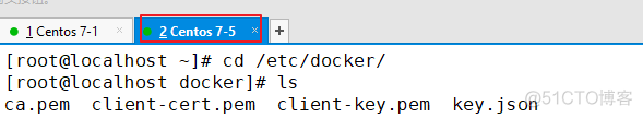 Docker-tls（ssl）加密通信_配置文件_10