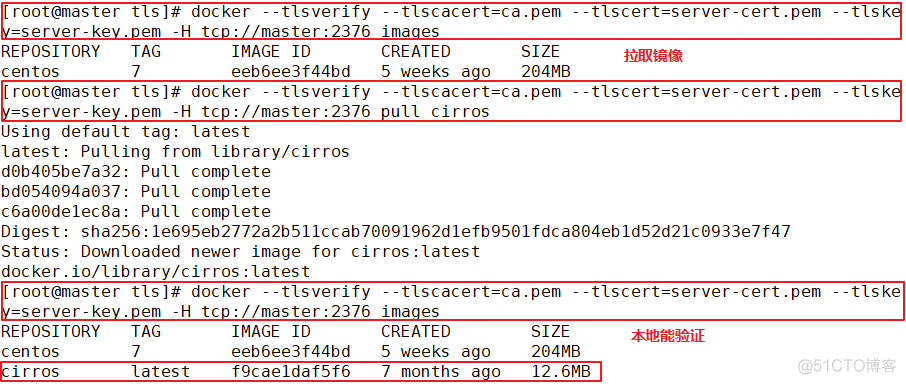 Docker-tls（ssl）加密通信_服务器_12