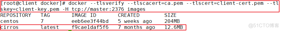 Docker-tls（ssl）加密通信_服务端_14