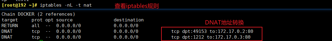 Docker 网络模式详解_网络设备_05