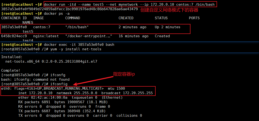 Docker 网络模式详解_自定义_16