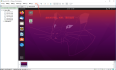 迅为-龙芯2K1000开发板虚拟机ubuntu基础操作