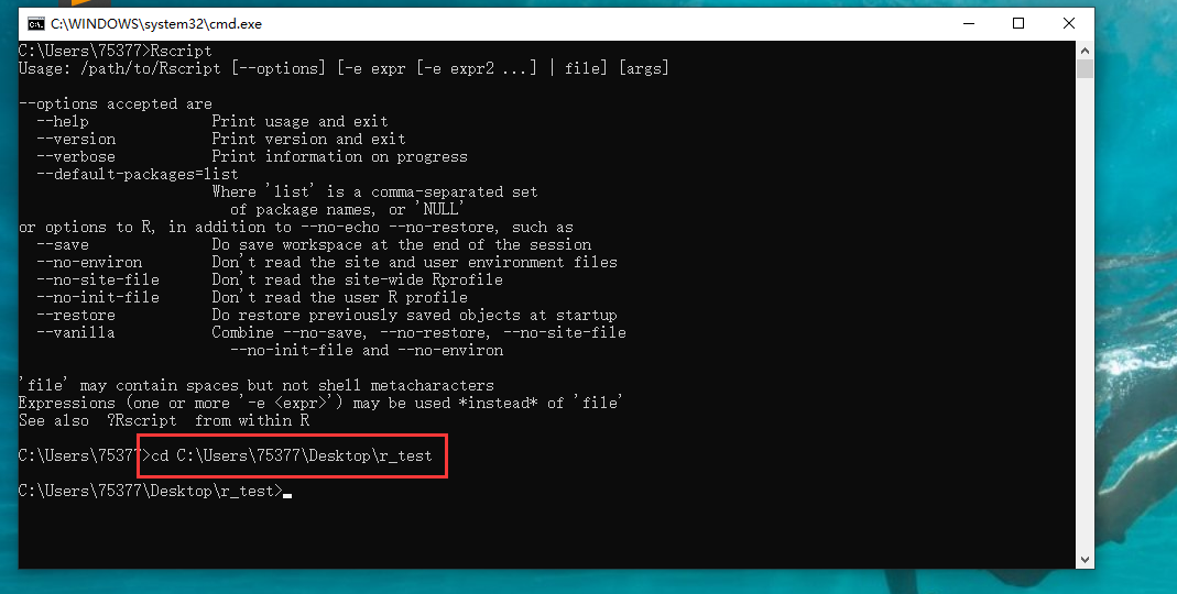 如何在dos窗口中执行R脚本_环境变量_12