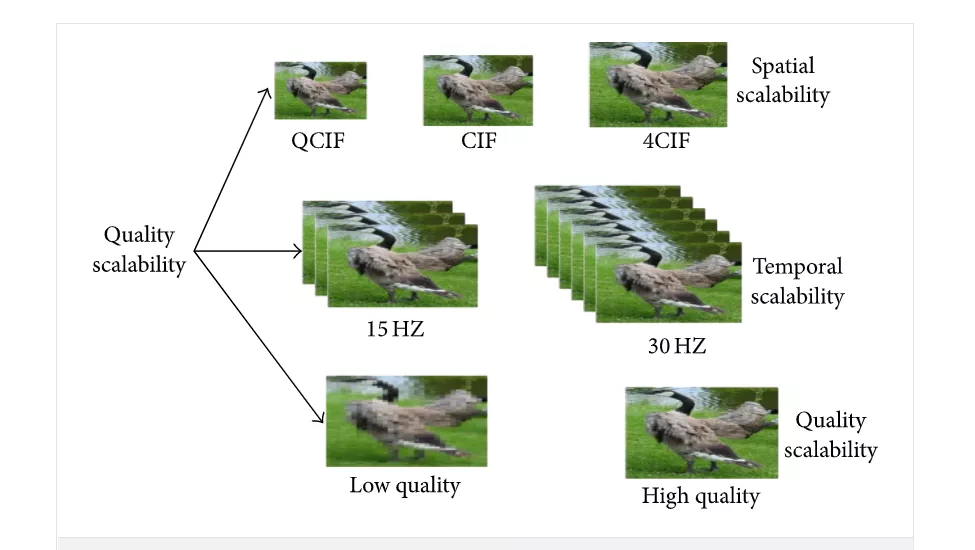 AI 算法在视频可分级编码中的应用（具体示例）_编码器_03
