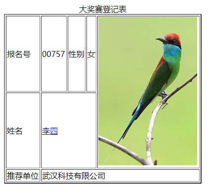 表格与表单_ide_02