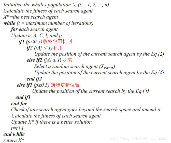 【优化算法】鲸鱼优化算法（WOA）【含Matlab源码 1243期】_matlab_16