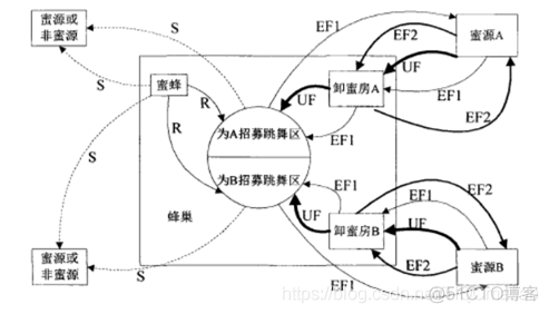 【优化算法】多目标人工蜂群算法（MOABC）【含Matlab源码 1236期】_搜索