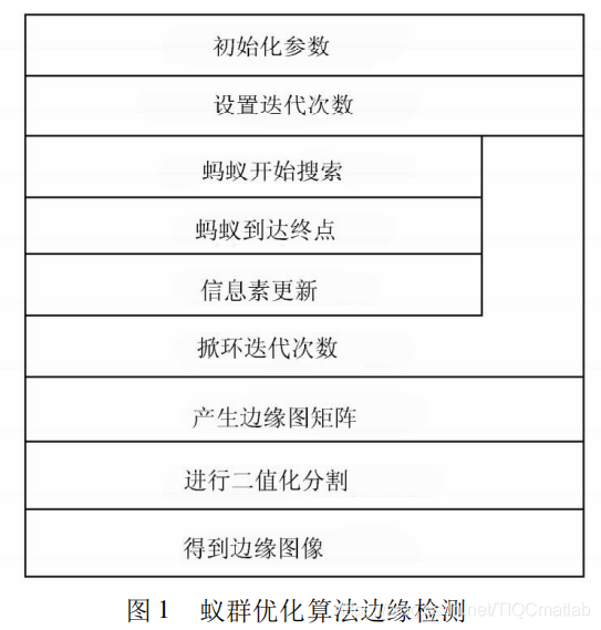 【图像边缘检测】基于matlab蚁群聚类图像边缘检测【含Matlab源码 728期】_优化算法