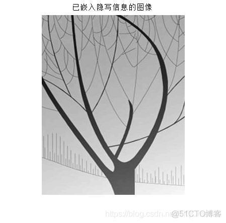 【图像隐写】基于matlab LSB算法图像隐写提取【含Matlab源码 366期】_位平面_07