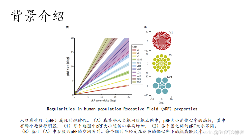 RFB论文阅读_神经网络_03