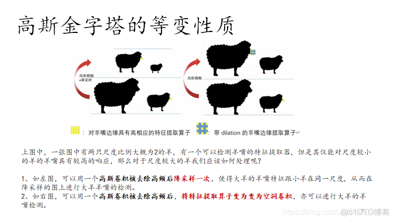 SEPC论文阅读_计算机视觉_05