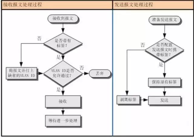 还有人不懂VLAN的作用？一张图就能明白！_数据帧_06