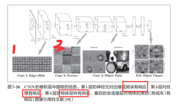 神经网络基础学习笔记（六）卷积神经网络_机器学习_37