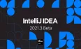 IntelliJ IDEA 2021.3 Beta 版发布！