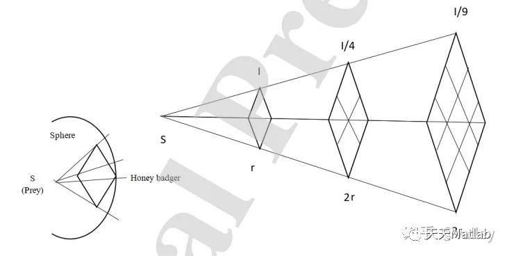 【优化求解】基于蜜獾算法(HBA)求解最优目标matlab代码_迭代_05