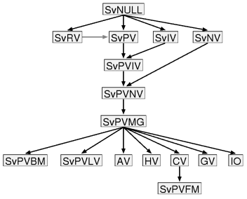 Perl 内部结构详解_sed