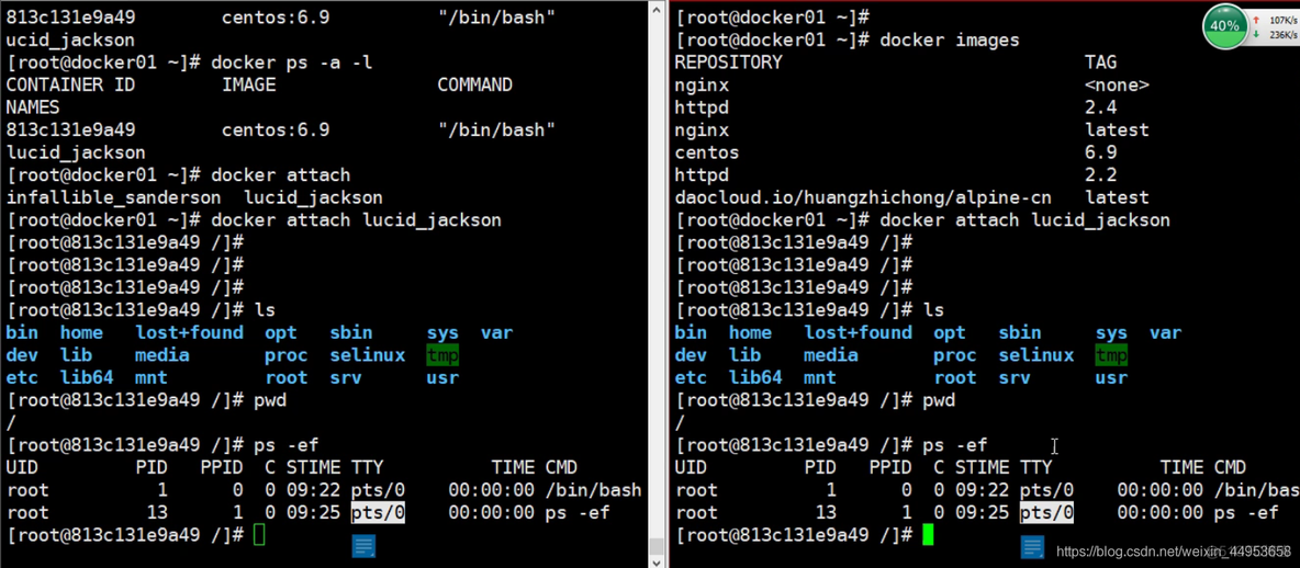 Docker的安装及日常命令的使用（二）_f5_06