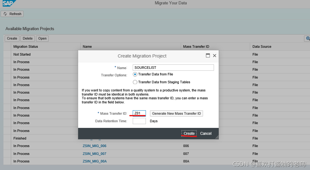 SAP S4HANA LTMC Practice - the first shot_其他_03