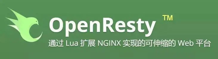 Nginx 通过 Lua + Redis 实现动态封禁 IP_redis_03