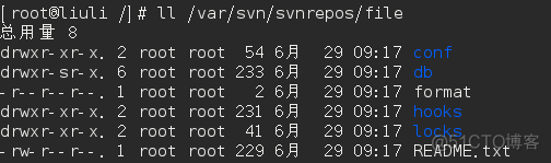 Linux下subversion搭建_自定义_03