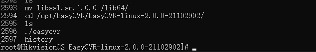 Linux启动EasyCVR报错No such file or directory排查_动态库_05