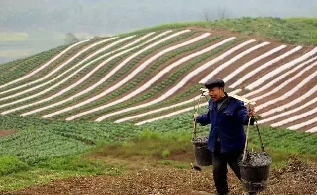 伊家田园带你了解中国农业发展的未来大格局_数据_02