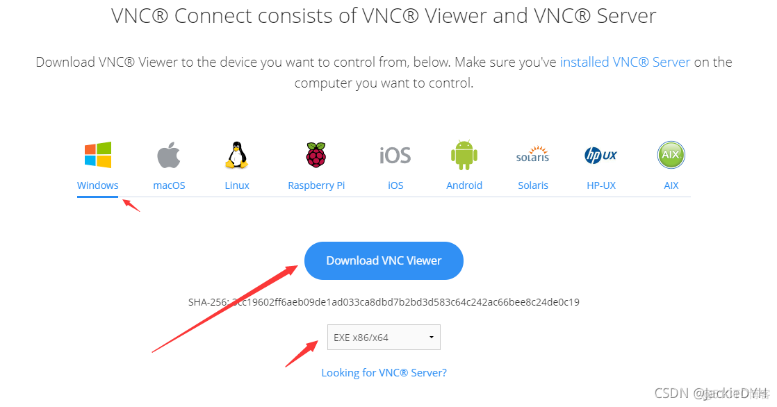 VNC Connect远程工具使用-使用体验极高_vnc_05