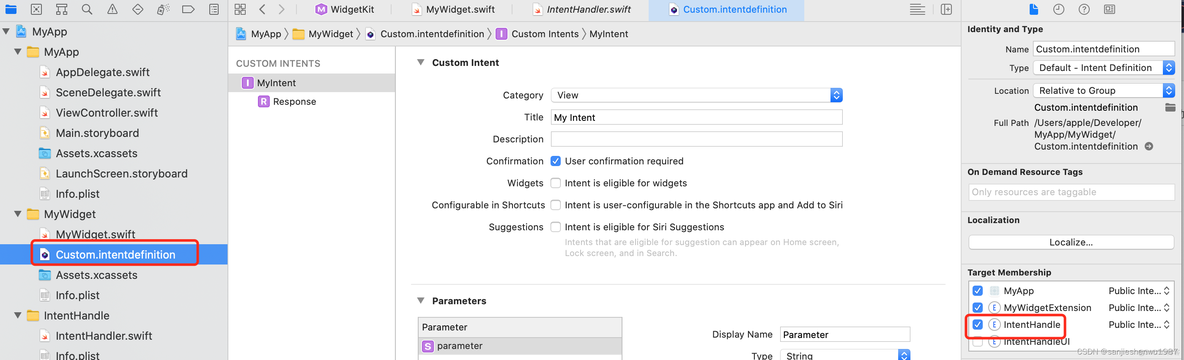 【iOS】记录widget开发流程及遇到的问题_ide_17