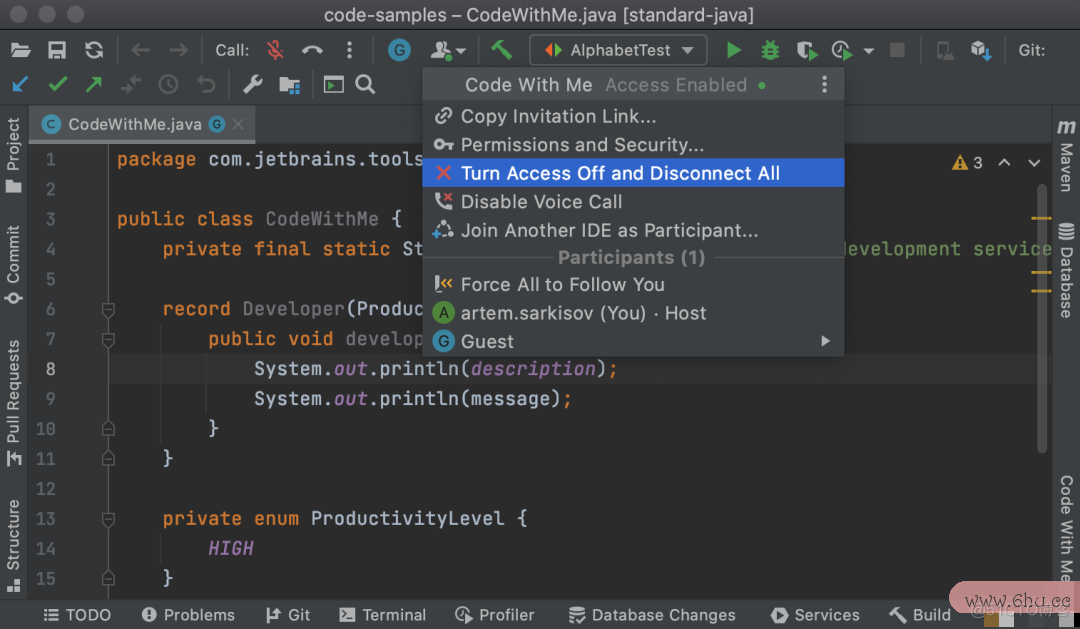 IntelliJ IDEA | 居然支持音视频聊天_java_06