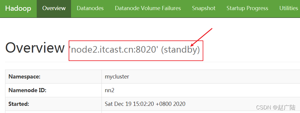 HDS Namenode HA高可用搭建_单点故障_13