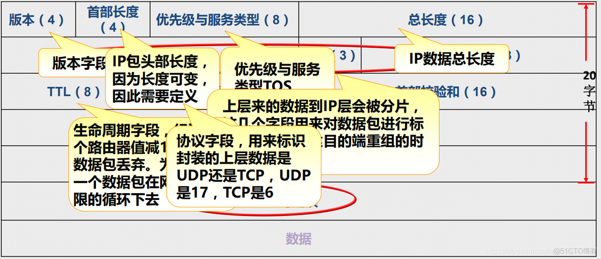 (更新时间)2021年4月30日 网络安全 抓包(IP包头分析与静态路由)_路由表_03