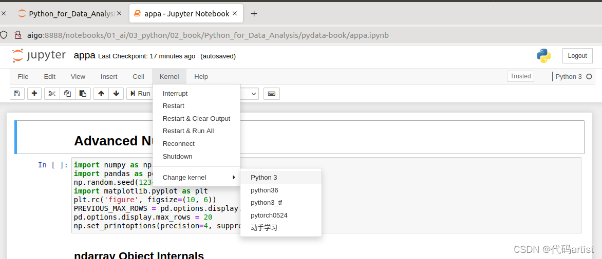 jupyter notebook 设定指定conda环境_jupyter