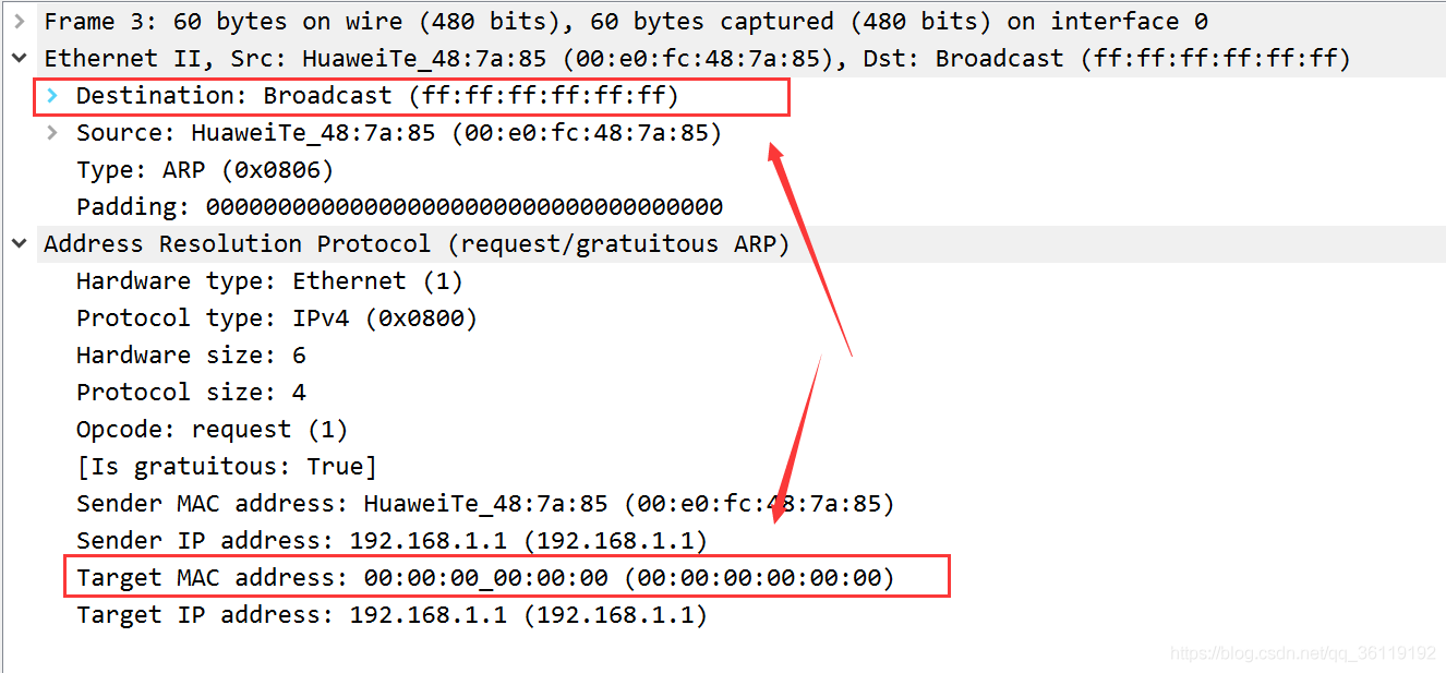 ARP协议_ip地址_06