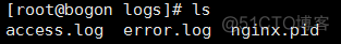 Nginx（三）-- 配置文件之日志管理_日志文件
