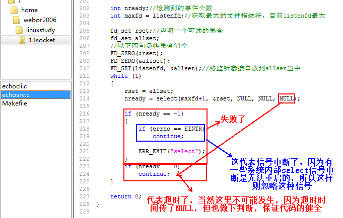 linux网络编程之socket编程(九)_数组_11