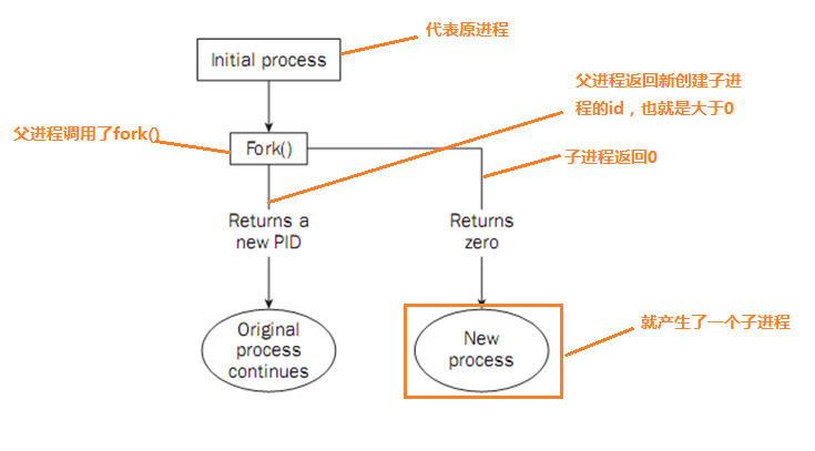 linux系统编程之进程(一)_#include_04