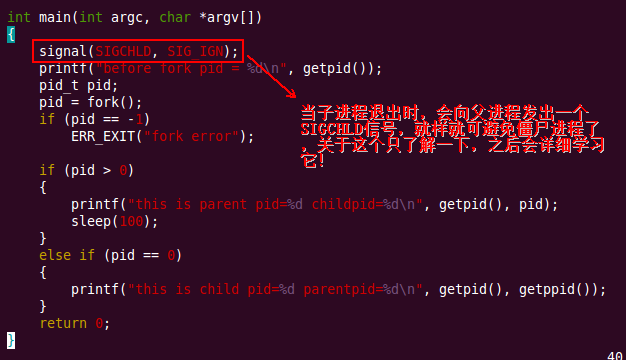 linux系统编程之进程(一)_子进程_14